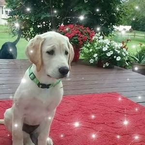 Meet your Posher, Lori